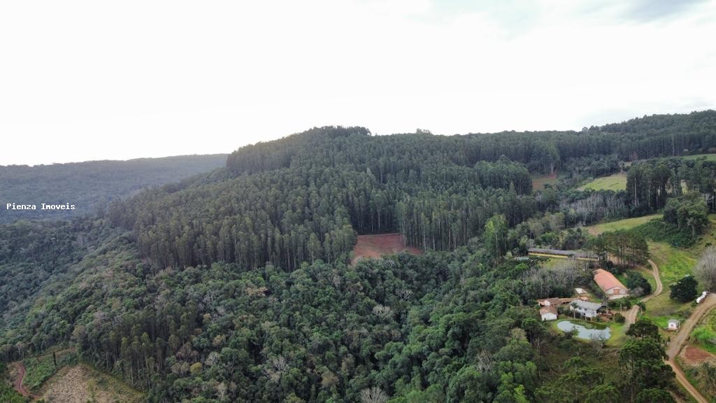 Loteamento e Condomínio, 35 hectares - Foto 5