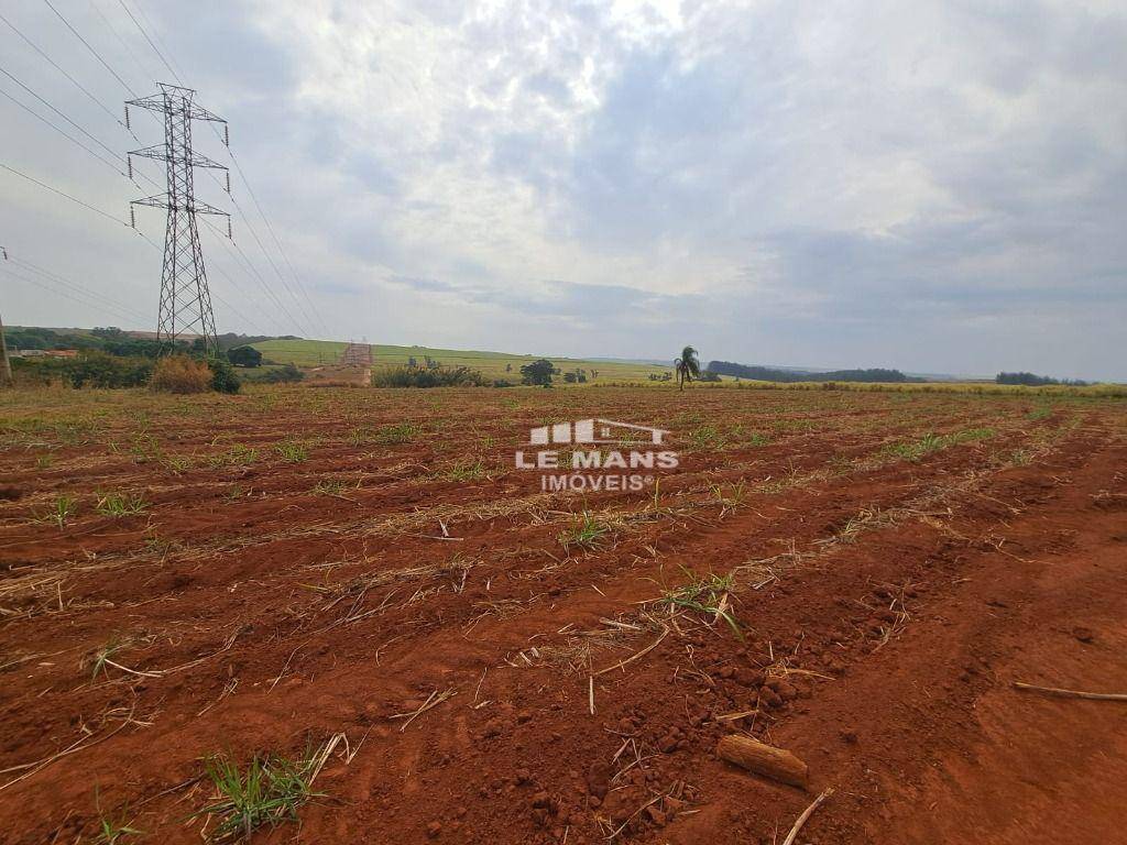 Terreno, 1000 m² - Foto 1