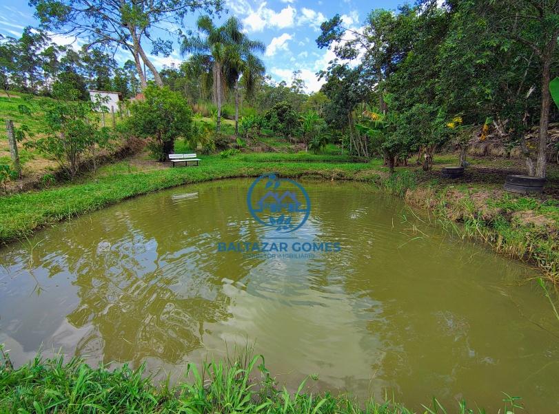 Fazenda à venda com 4 quartos, 10000m² - Foto 2