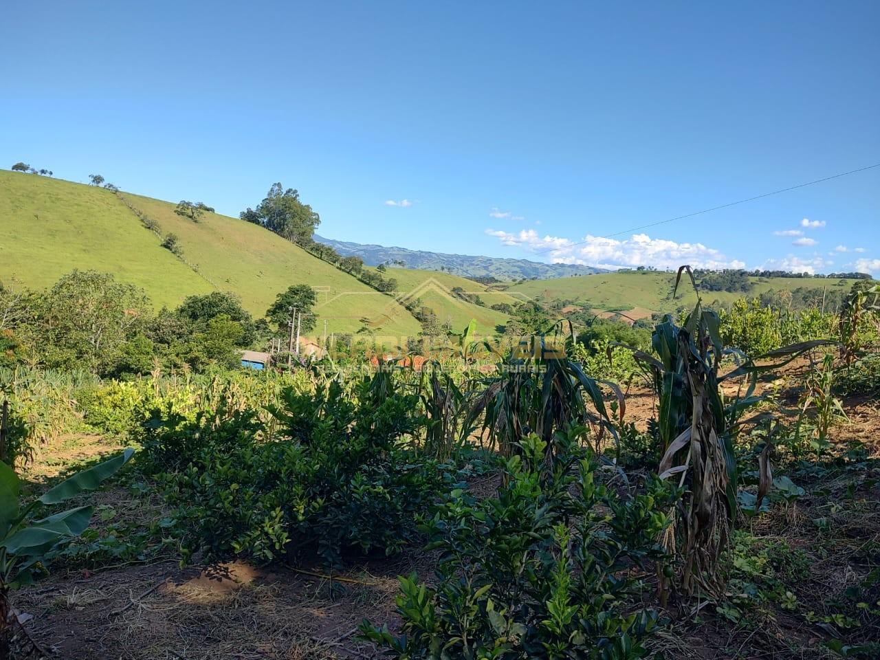 Chácara à venda, 5000m² - Foto 1