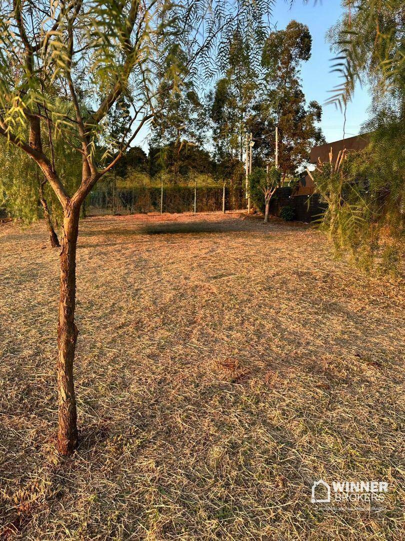 Terreno à venda, 2000M2 - Foto 1