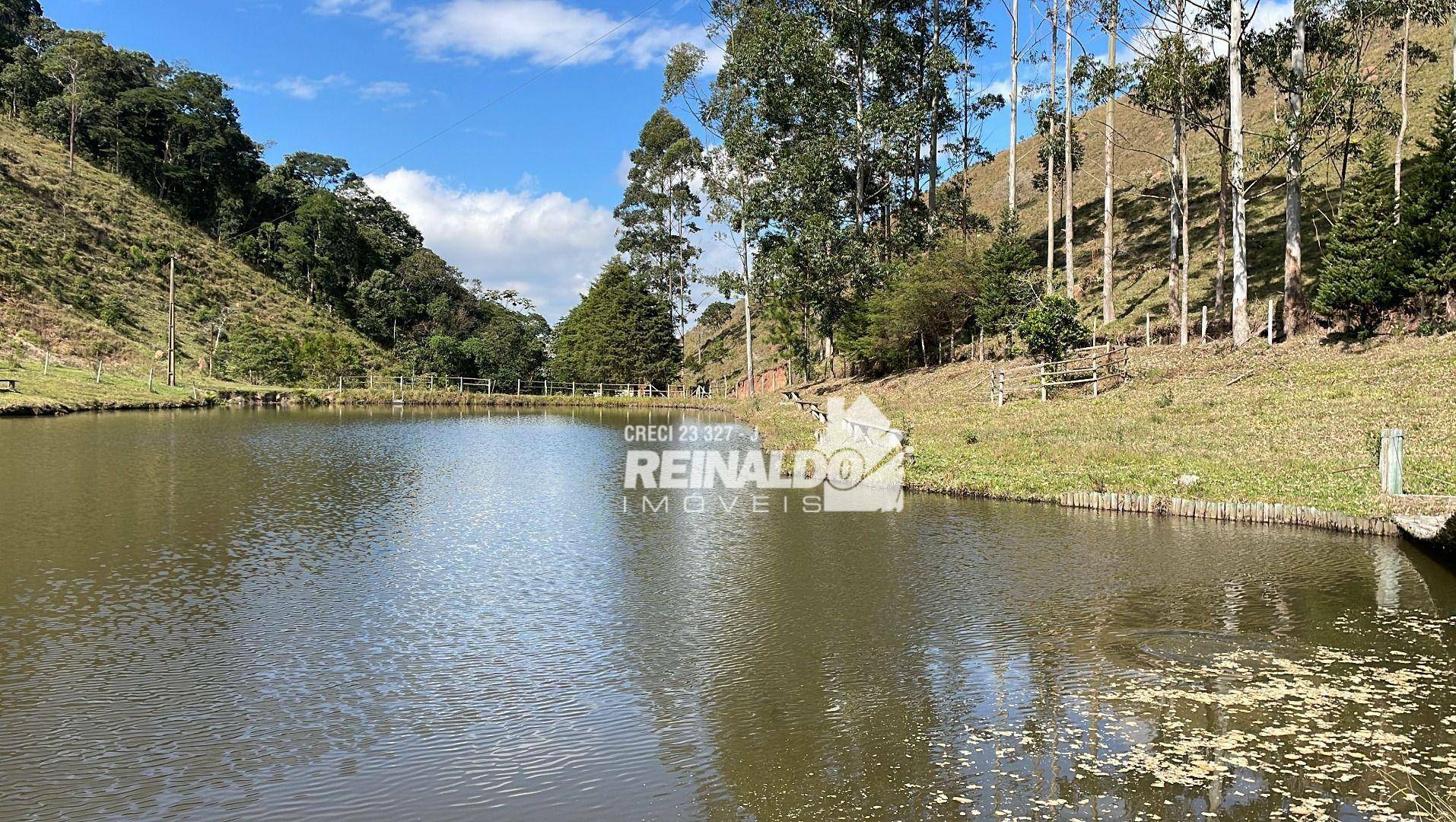 Fazenda à venda com 8 quartos, 900m² - Foto 69