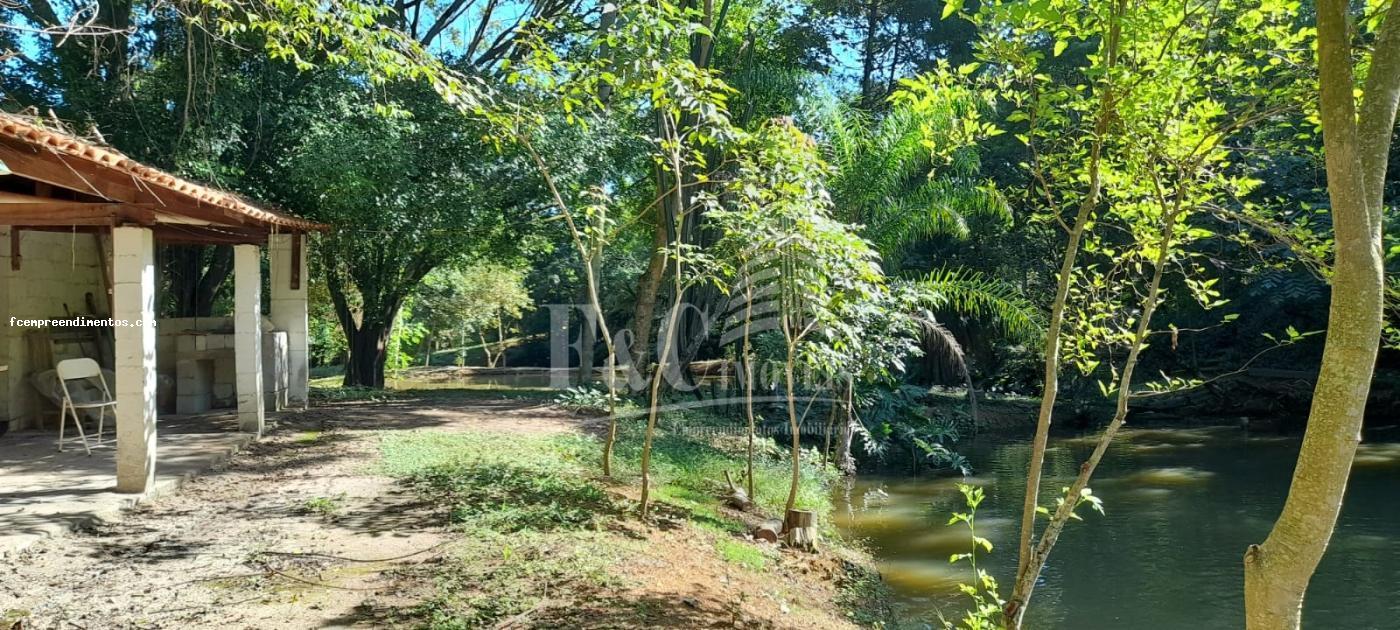 Fazenda à venda com 3 quartos, 24000m² - Foto 8