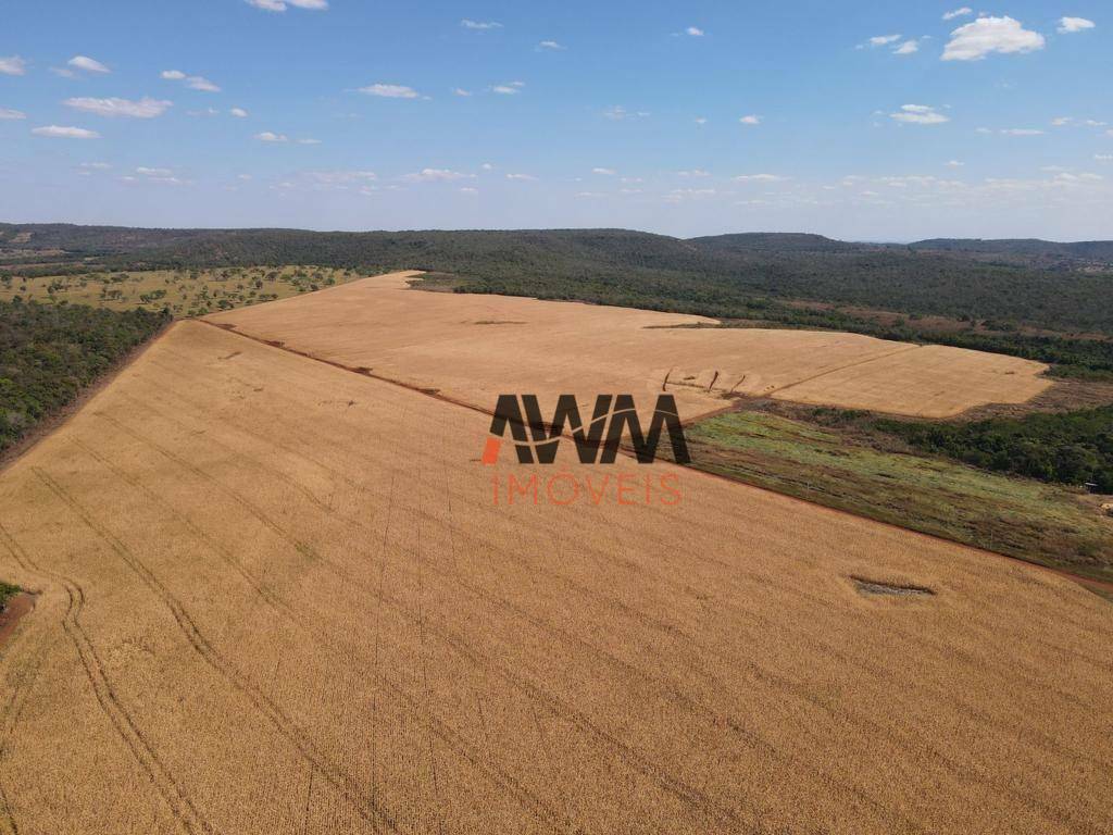 Fazenda-Sítio-Chácara, 707 hectares - Foto 22