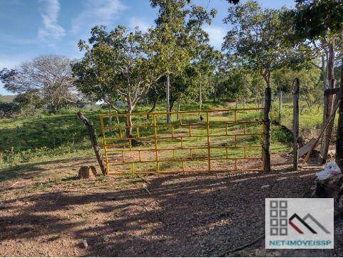 Fazenda à venda com 4 quartos, 500m² - Foto 7