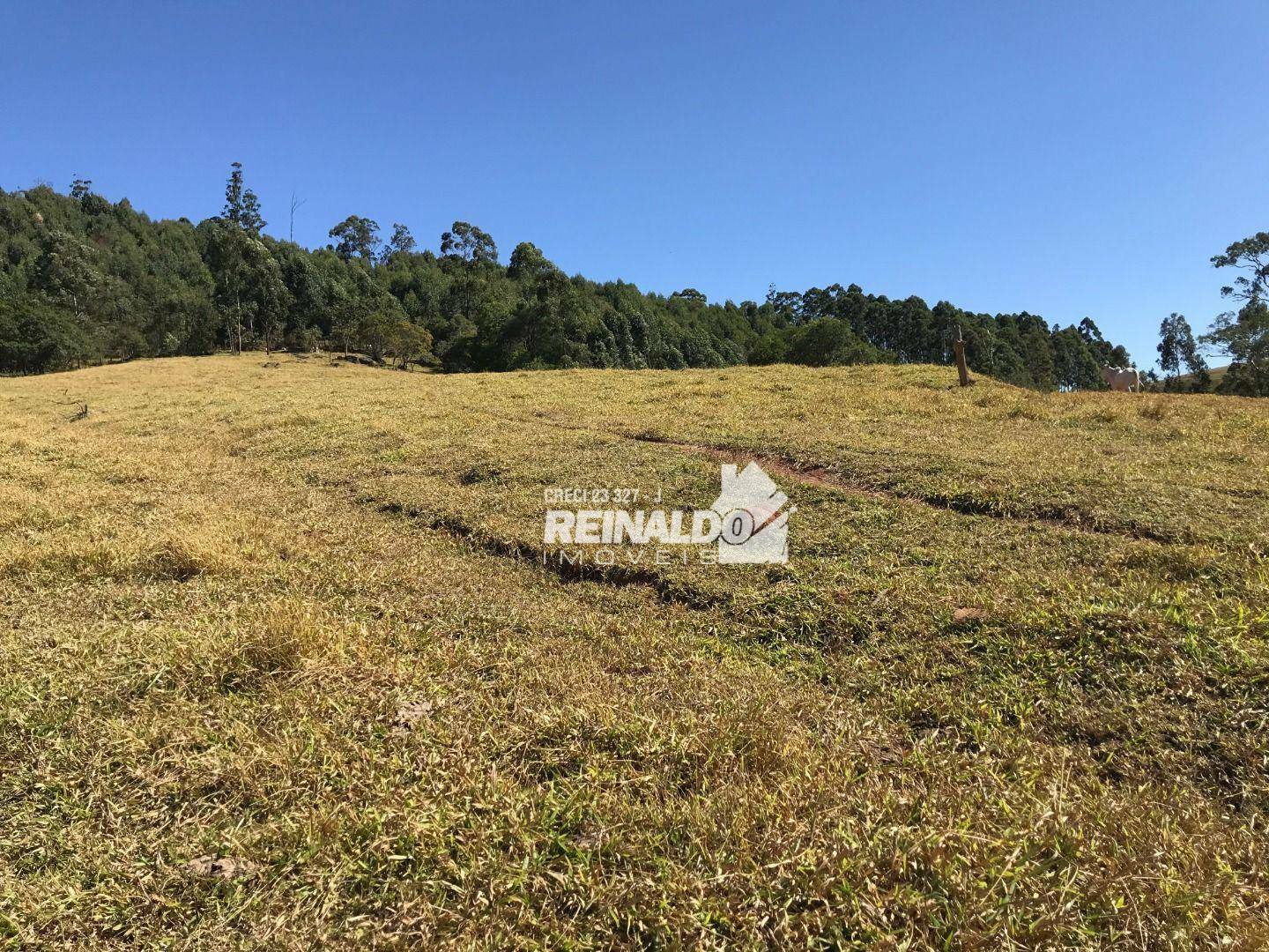 Fazenda à venda com 8 quartos, 950m² - Foto 31