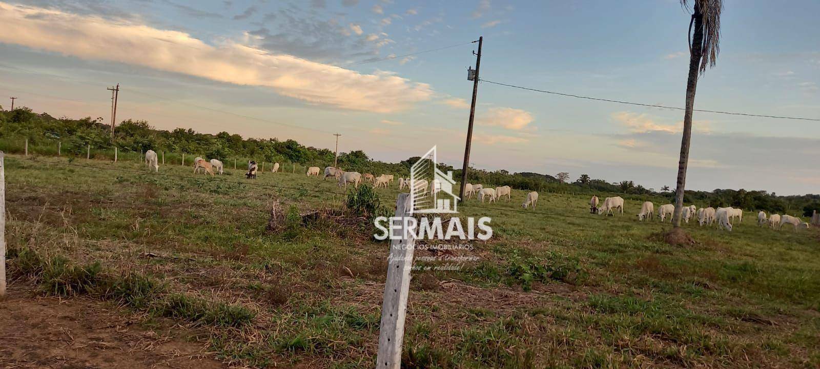 Fazenda à venda com 2 quartos, 930000M2 - Foto 6