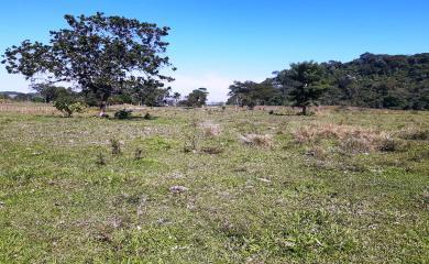 Fazenda à venda com 2 quartos, 270000m² - Foto 22