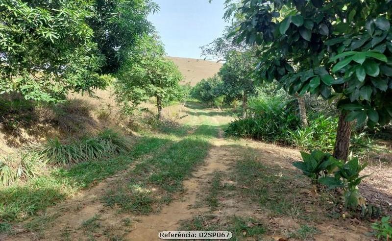 Fazenda à venda com 2 quartos, 100000m² - Foto 7