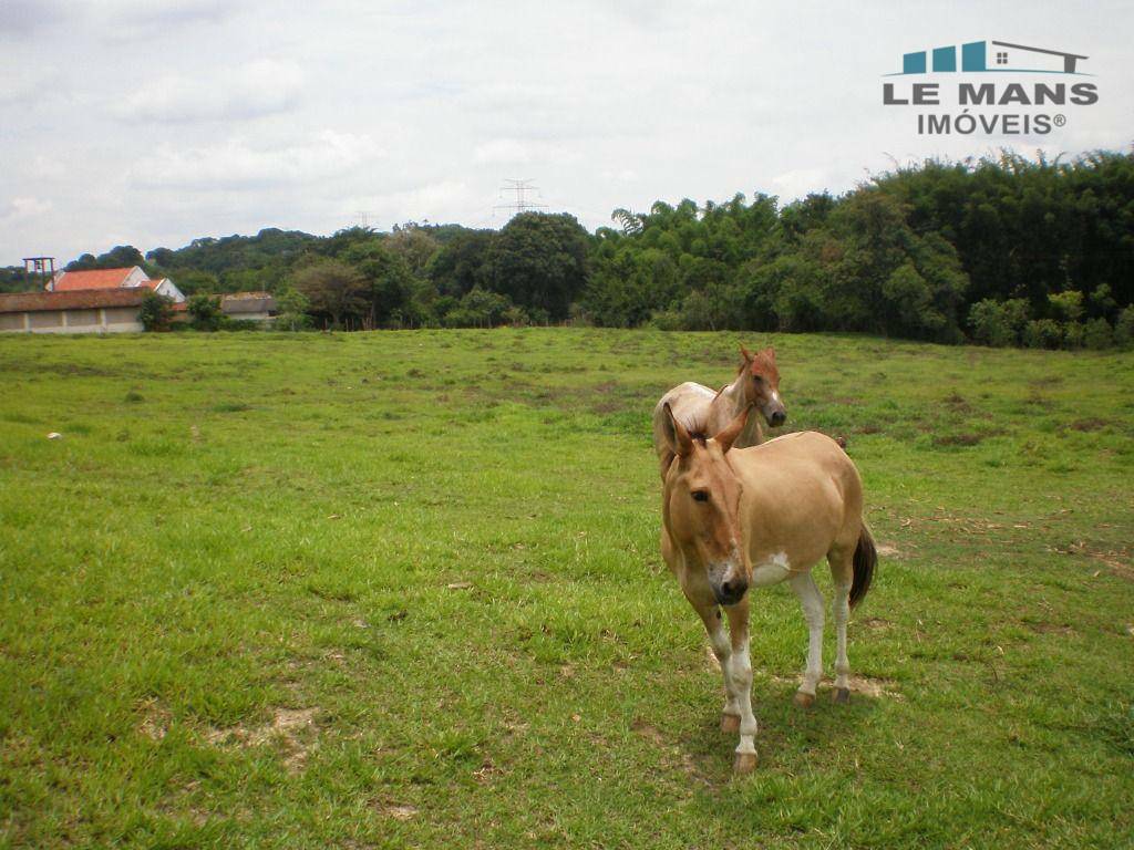 Sítio à venda com 2 quartos, 56319M2 - Foto 21