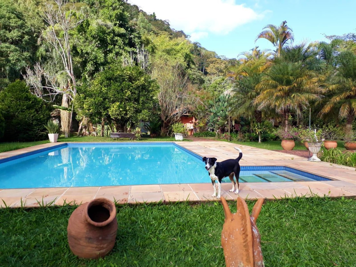 Fazenda à venda com 6 quartos, 183m² - Foto 6