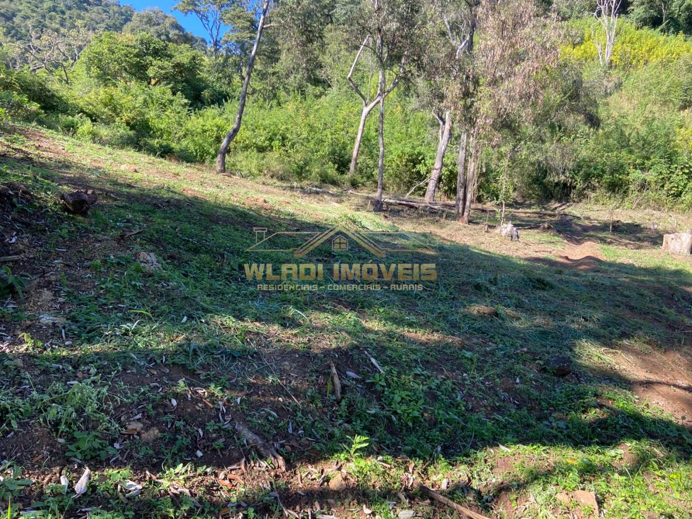 Terreno à venda, 40000m² - Foto 11
