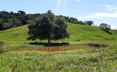 Sítio à venda com 2 quartos, 210000m² - Foto 9