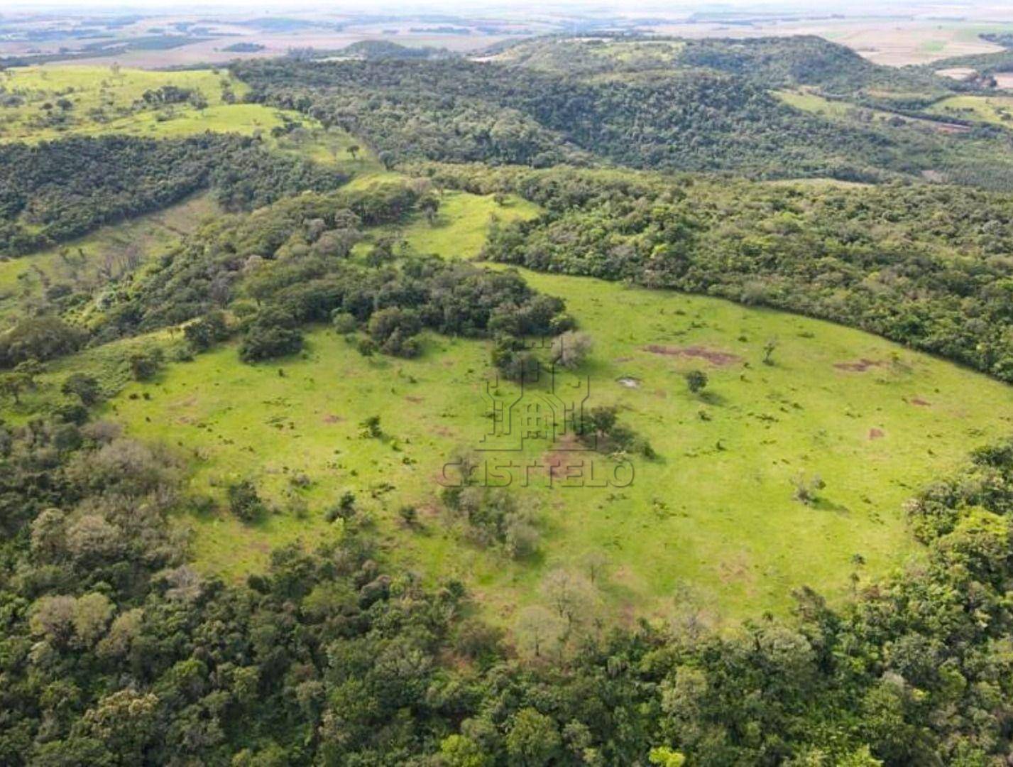 Sítio, 114 hectares - Foto 3