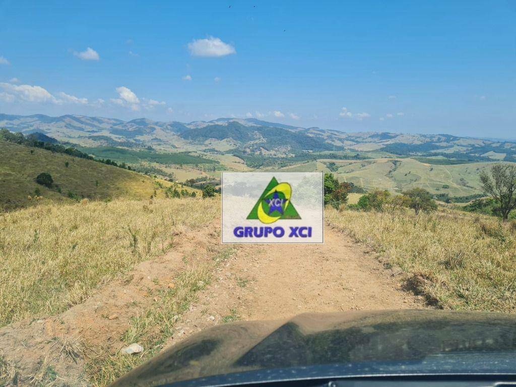 Fazenda-Sítio-Chácara, 250 hectares - Foto 37