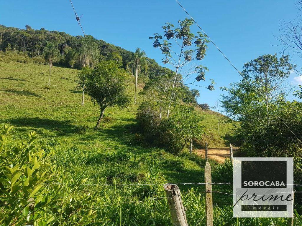 Fazenda à venda, 202000M2 - Foto 22