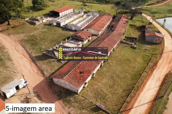Sítio à venda - Foto 4