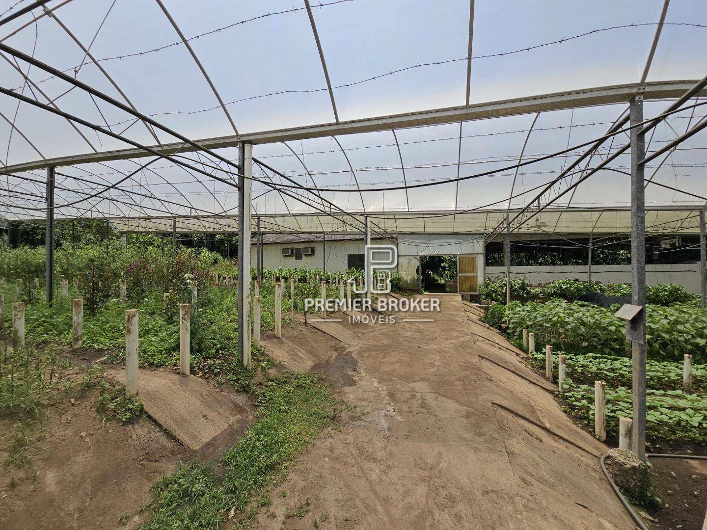 Sítio à venda com 5 quartos, 2500m² - Foto 4