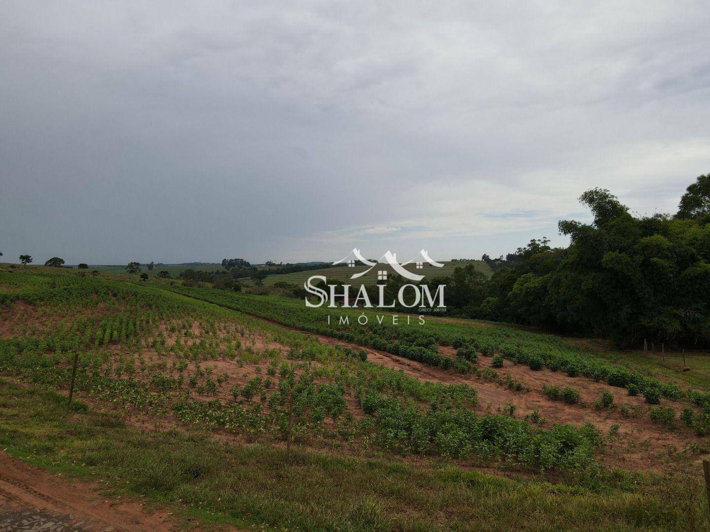 Fazenda à venda, 121000M2 - Foto 5