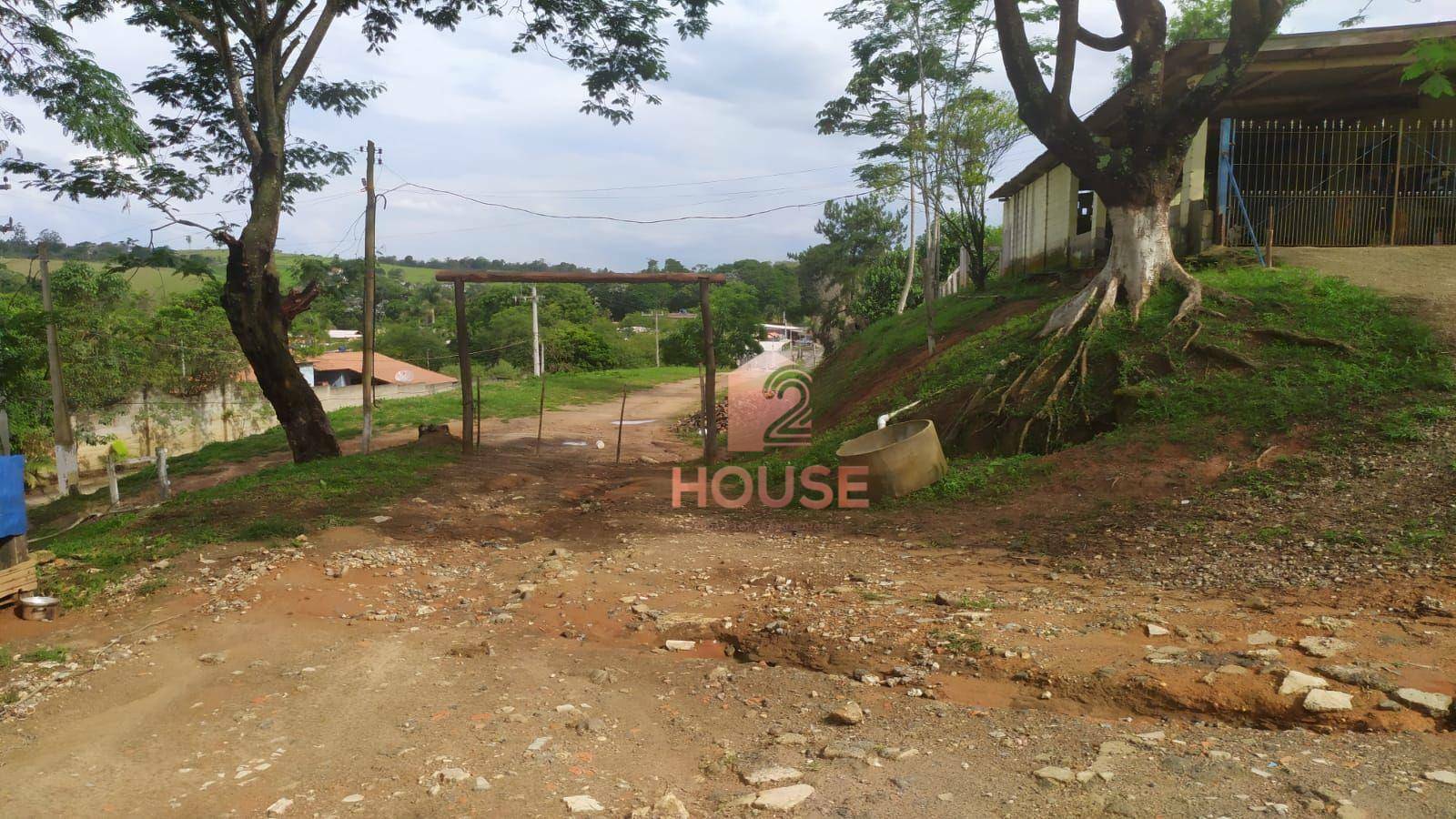 Fazenda à venda com 2 quartos, 133000M2 - Foto 10