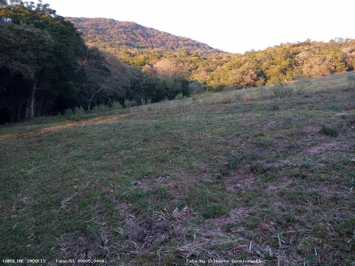 Fazenda à venda com 3 quartos, 586000m² - Foto 22