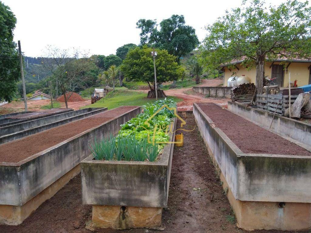 Fazenda à venda com 5 quartos, 1000m² - Foto 19