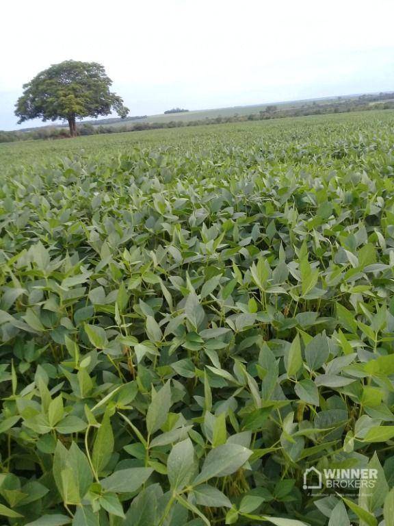 Fazenda à venda, 1040600M2 - Foto 3