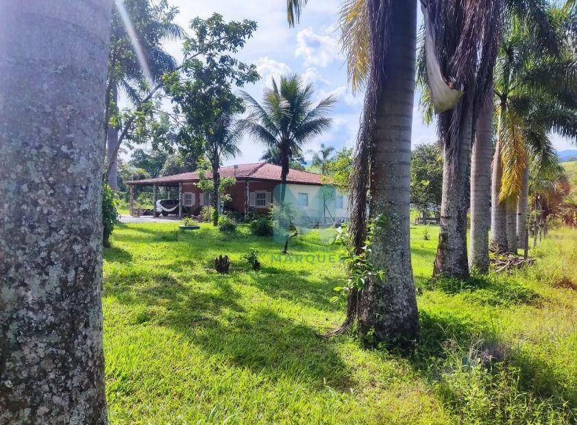 Sítio à venda com 3 quartos, 160m² - Foto 8