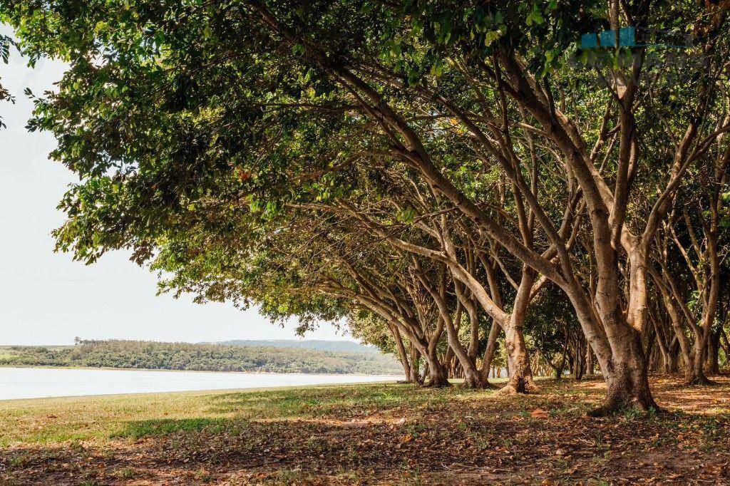 Chácara à venda com 3 quartos, 600m² - Foto 6