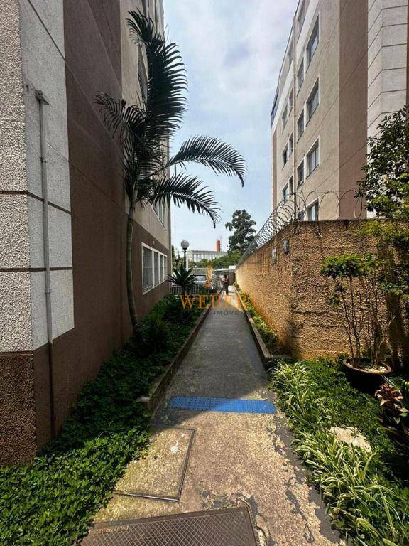 Apartamento, 3 quartos, 52 m² - Foto 4