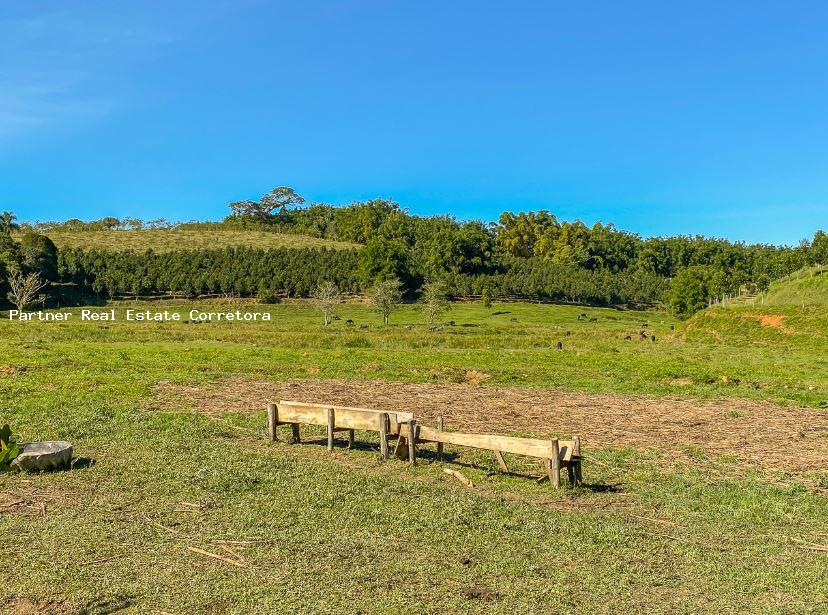 Fazenda à venda com 1 quarto, 2750000m² - Foto 8