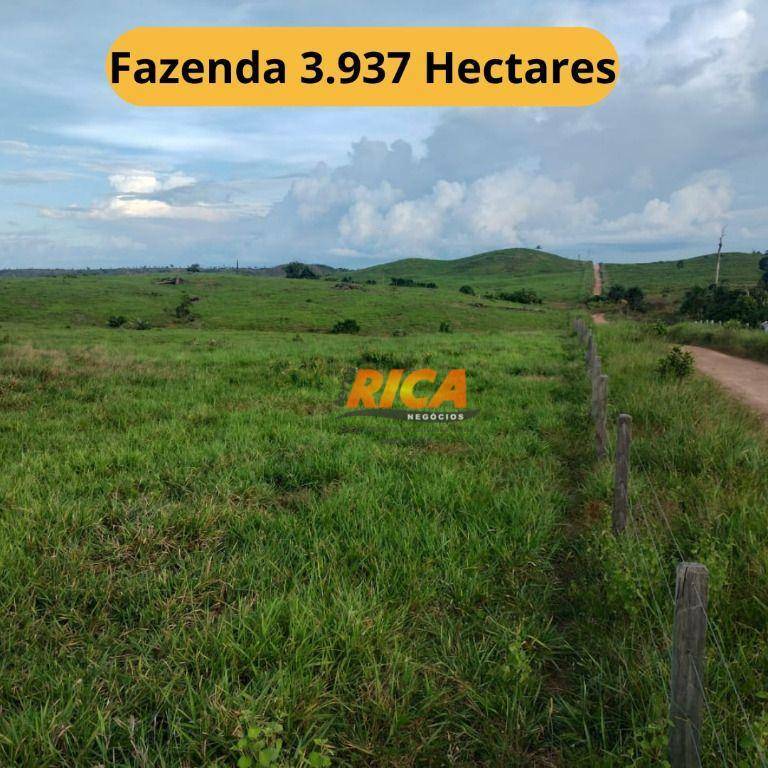 Fazenda-Sítio-Chácara, 3937 hectares - Foto 1