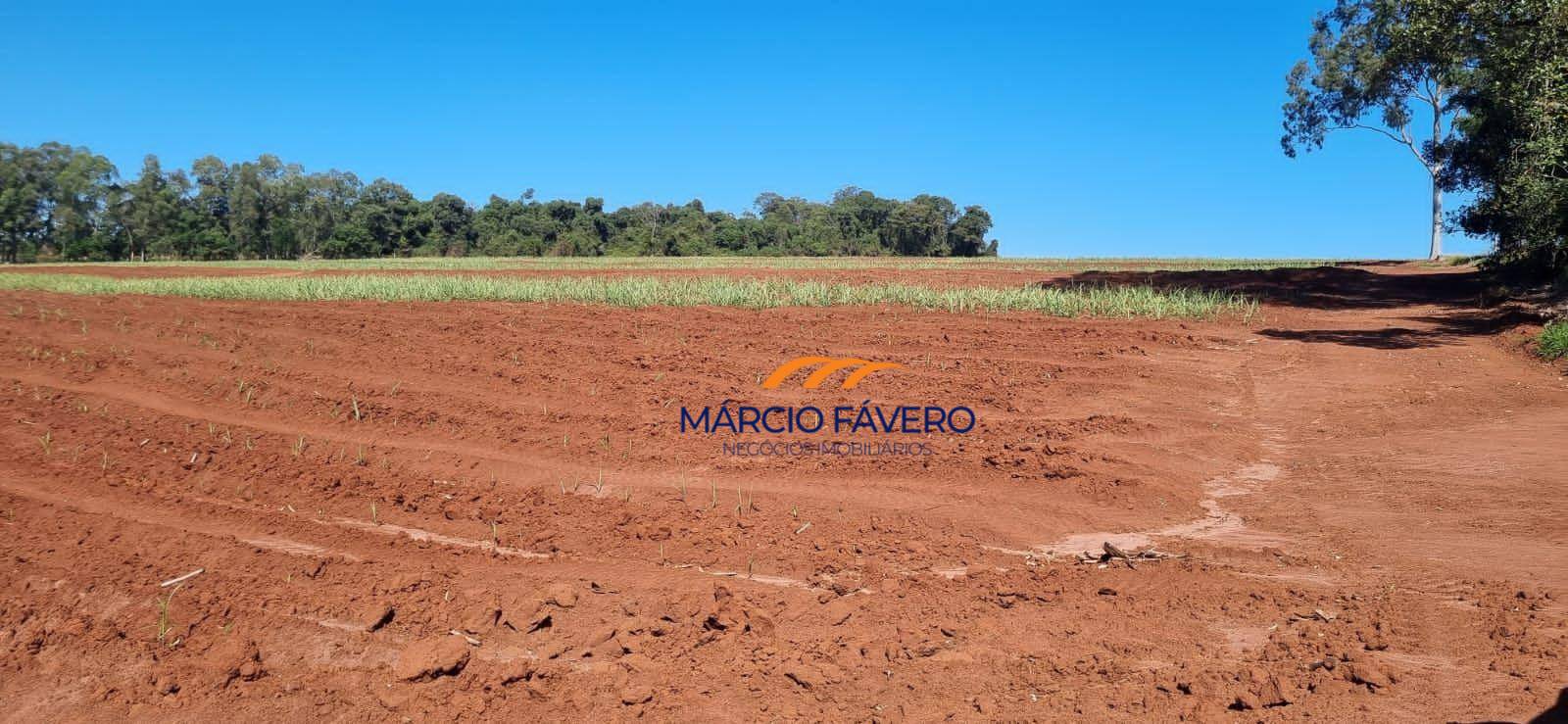 Sítio, 23 hectares - Foto 1