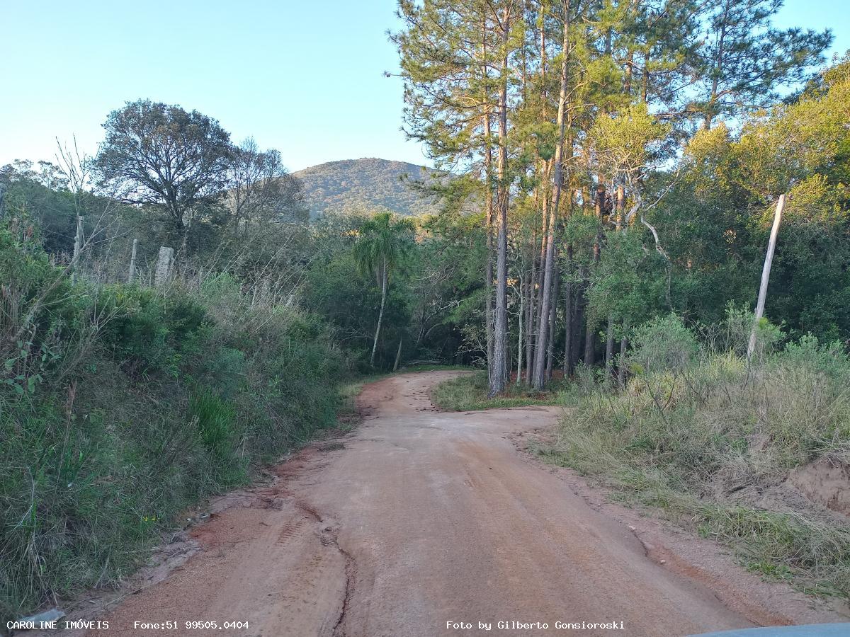 Sítio à venda com 3 quartos, 586000m² - Foto 3
