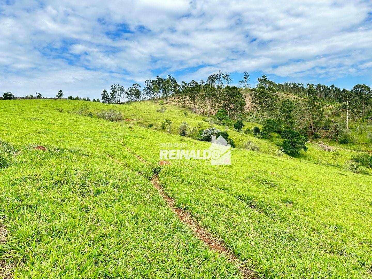 Fazenda à venda com 8 quartos, 950m² - Foto 14