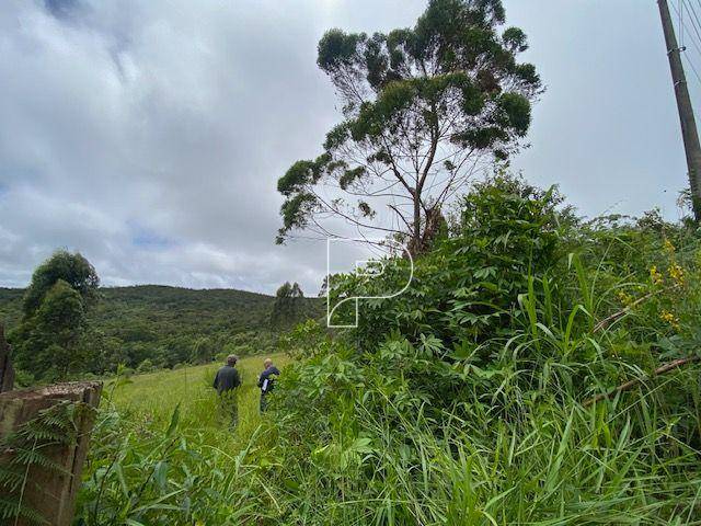 Terreno, 27 hectares - Foto 15