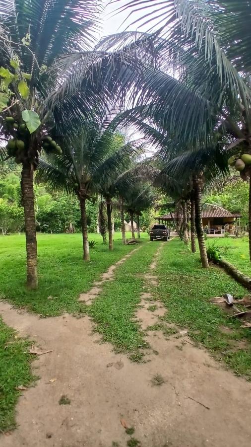 Fazenda à venda com 4 quartos, 2500m² - Foto 24