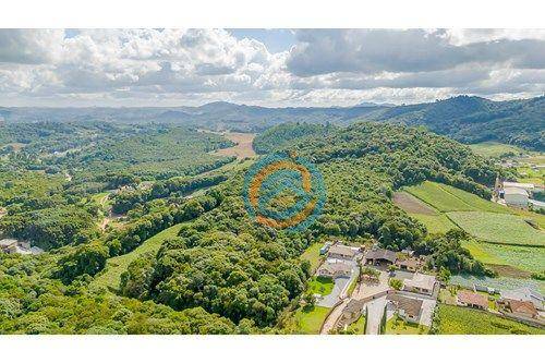 Terreno, 5 hectares - Foto 3