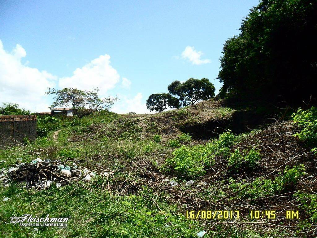 Terreno à venda, 6600M2 - Foto 9