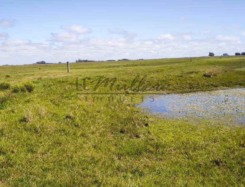 Fazenda à venda, 2300m² - Foto 5