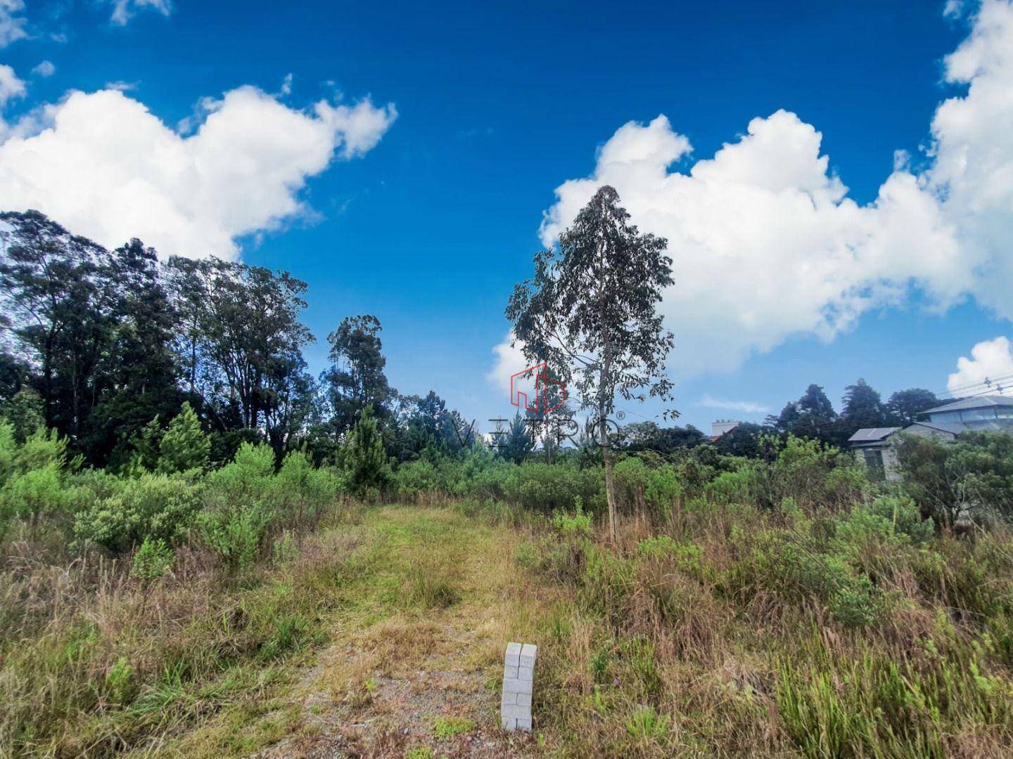 Terreno à venda, 9900M2 - Foto 4