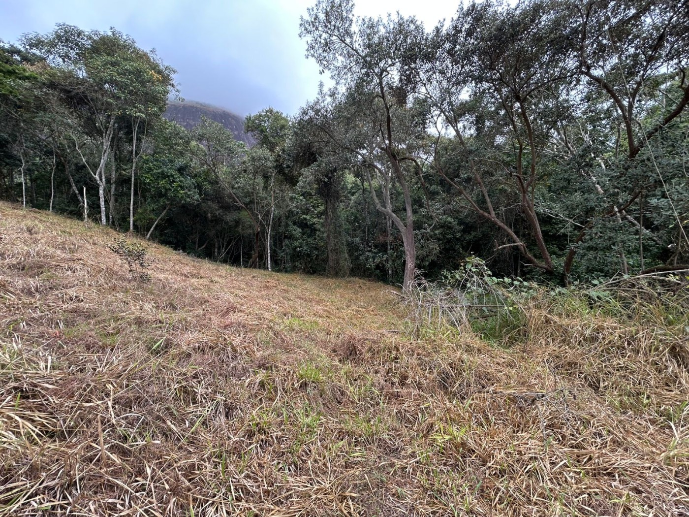 Terreno à venda, 178000m² - Foto 32