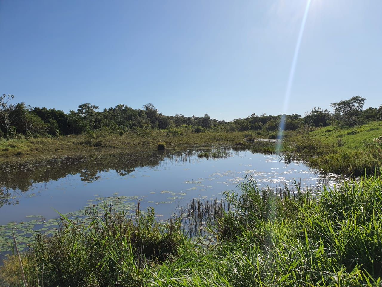 Fazenda à venda, 14530000M2 - Foto 3