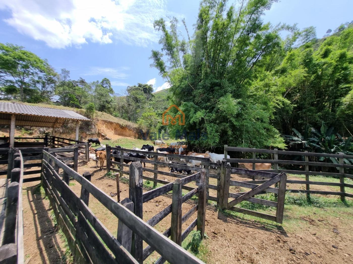 Fazenda à venda com 3 quartos, 1029126m² - Foto 29