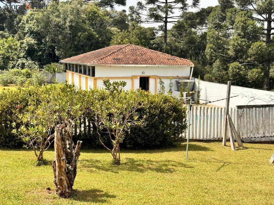 Fazenda à venda com 4 quartos, 7700m² - Foto 49