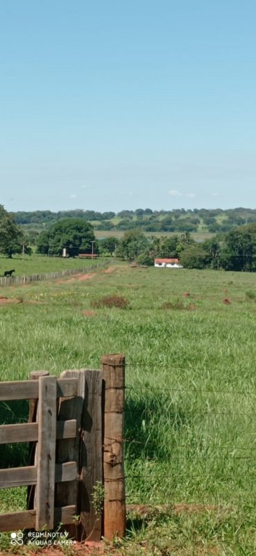 Fazenda à venda, 532400m² - Foto 13