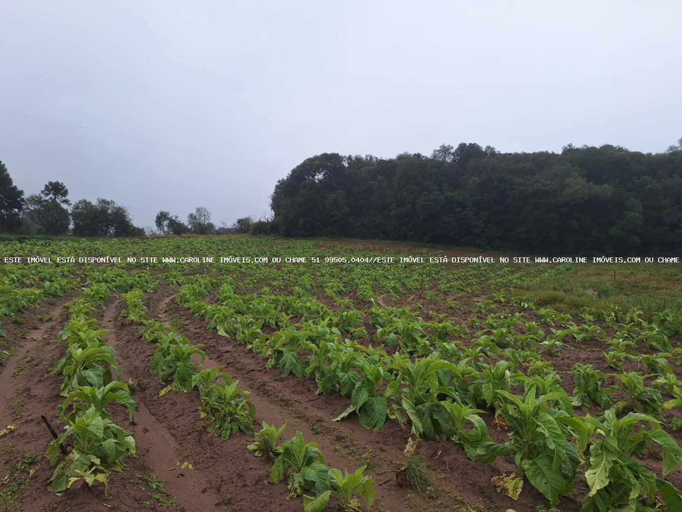 Loteamento e Condomínio à venda, 20000m² - Foto 7