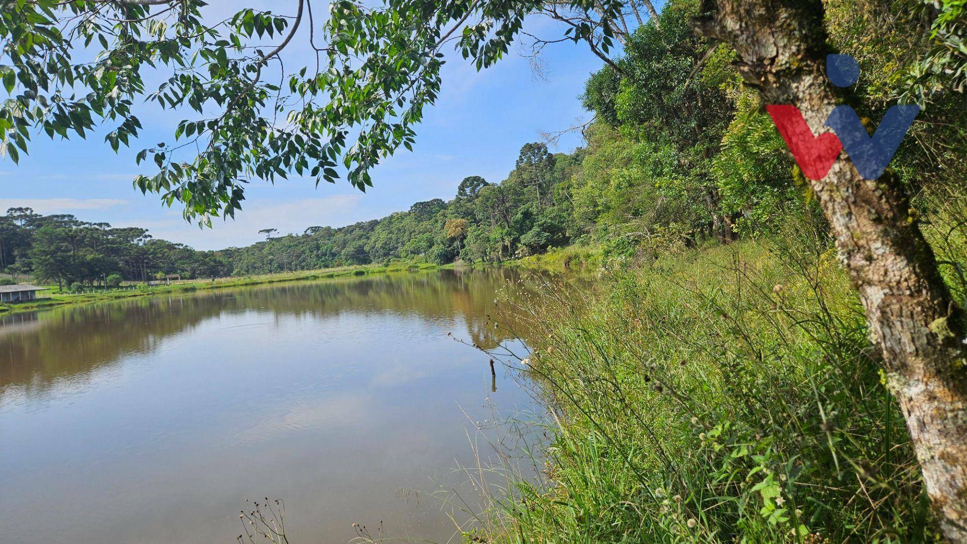 Chácara à venda com 3 quartos, 22454M2 - Foto 2