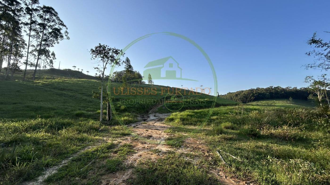 Fazenda, 507 m² - Foto 18