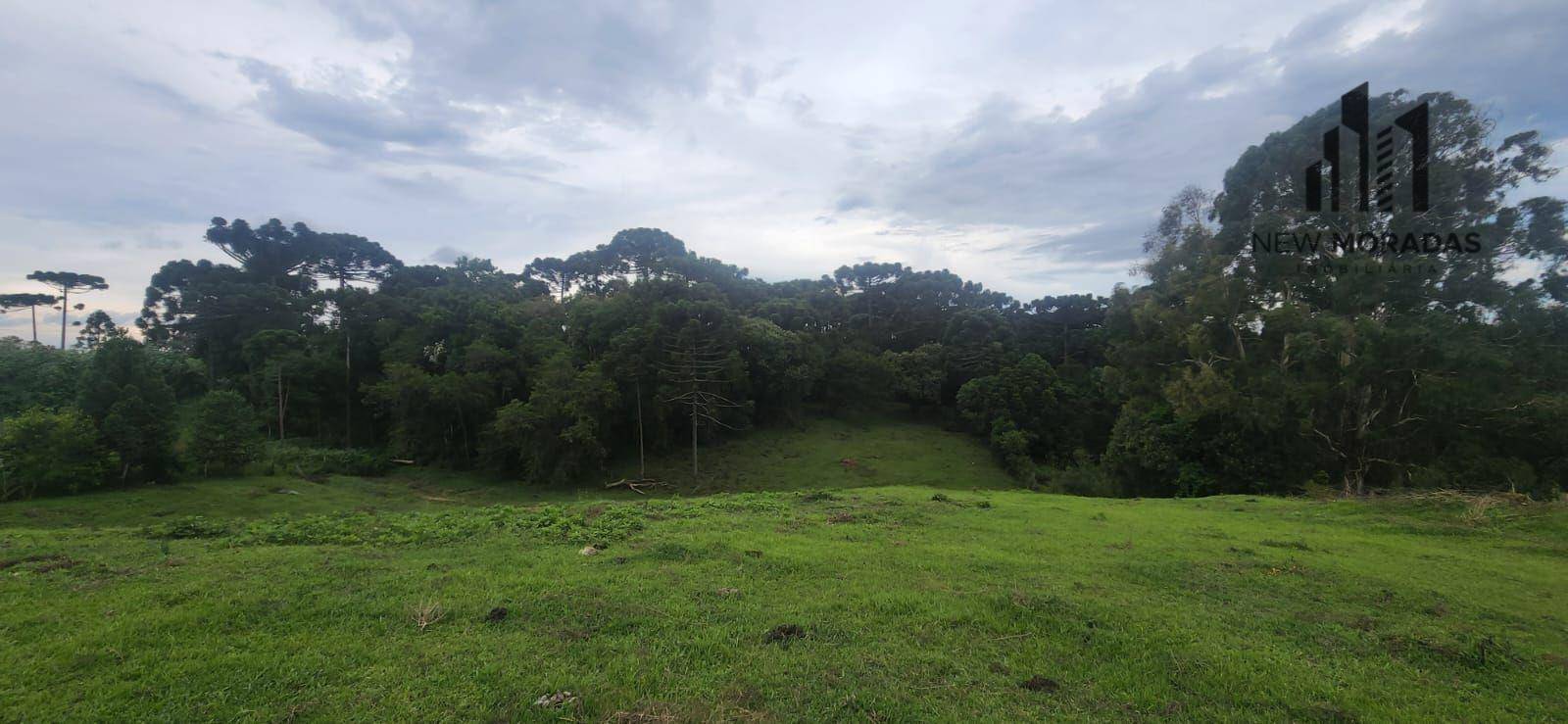 Terreno à venda, 15217M2 - Foto 3